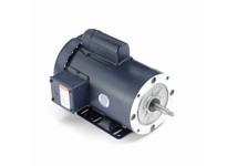 Leeson 113959.00 2 HP Jet Pump Motor, 1 Phase, 3600 RPM | TEFC Motor