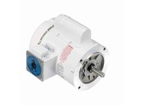 Leeson 114313.00 0.50 HP Washdown Motor, 1 Phase, 1800 RPM | YarinInd