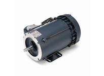 Leeson 114630.00 0.75 HP Explosion Proof Motor, 3 Phase | YarinInd
