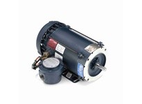 Leeson 116616.00 2 HP Explosion Proof Motor, 1 Phase | YarinInd