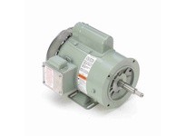 Leeson 119448.00 1 HP Milk Transfer Motor, 1 phase, 3600 RPM, 115/208-230 V, 56CZ Frame, TEFC1 HP Milk Transfer Motor, 1 phase, 