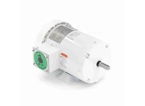 Leeson 119475.00 1 HP Washdown Motor, 3 Phase, 1800 RPM | Durable & Efficient