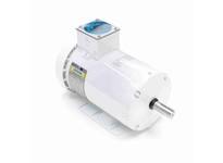 Leeson 119783.00 3 HP Feather Picker Motor, 3 Phase | YarinInd