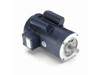 Leeson 120990.00 2 HP Special Voltage Motor, 1 Phase, 3000 RPM | Buy Now