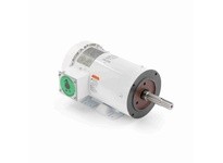 Leeson 122191.00 3 HP Washdown Motor, 3 phase, 3600 RPM, 208-230/460 V, 145JM Frame, TEFC3 HP Washdown Motor, 3 phase, 3600 RPM,