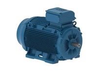 WEG 12518ET3E444TF3-W22 125HP 1800 3 60 208-230/460V | High-Performance Motor