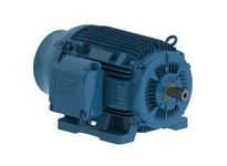 WEG 12518ST3QIE444T 125HP 1800 3 60 460 IEEE-841 | YarinInd