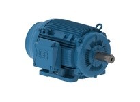 WEG 12536ET3E444TS-W22G 125HP 3600 3 60 208-230/460V G TEFC-NP-SGR