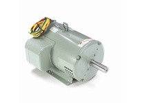Leeson 131847.00 5 HP Crop Dryer Motor, 1 Phase, 3600 RPM | YarinInd