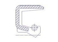 Dichtomatik 1320431VSEM-H-BX OIL SEAL