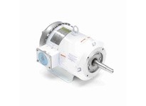 Leeson 132442.00 3 HP Washdown Motor, 3 Phase, 1800 RPM | YarinInd