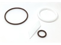 Flowtrend 126773 134608V-1 KIT FPM SEAL - TF W61 2.5" | YarinInd