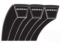 Bestorq 14/B51 Classical BANDED V-BELT | YarinInd