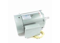 Leeson 141393.00 10 HP Crop Dryer Motor, 1 phase, 1800 RPM, 230 V, 215T Frame, TEFC10 HP Crop Dryer Motor, 1 phase, 1800 RPM, 23
