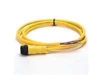 Allen Bradley 1485R-P2M5-C Cordset Mini-Line Male to Tinned Cond. 2m | Industrial Supplies