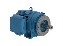 WEG 15018OT3G444TSC-W40 W40 NEMA Premium Efficiency 150 HP 4P 444/5TSC 3Ph 460//380 V 60 Hz IC01 - ODP - Foot-mounted