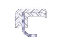 Dichtomatik 151872PA1-BX OIL SEAL | High-Quality Industrial Seal