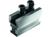 Schunk 156101 STB 250-2 Base Jaws T-Nut 21 | YarinInd