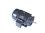 Goulds 15SV2GA8C66 .5HP 4/60/3 TEPE 360 2STG | YarinInd