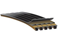 Gates 918116212 16/5VP2120 Predator PowerBand Belt | YarinInd