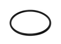 Flowtrend 100497 17-125-SFY O-Ring FPM | High-Quality Industrial Supplies