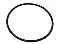 Flowtrend 100578 17-389-E CL Casing O-Ring