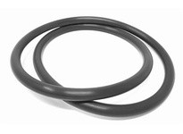 Flowtrend 100579 17-389-SFY CL Casing O-Ring