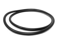 Flowtrend 103402 17-391-E CL Casing O-Ring | High-Quality Industrial Supplies