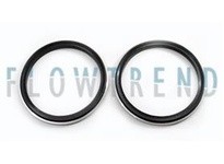 Flowtrend 103158 17-62-2 1/2-SFY-316L GASKET | YarinInd