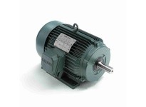 Leeson 170196.60 7 1/2HP 3600RPM 213T TEFC 575V | YarinInd