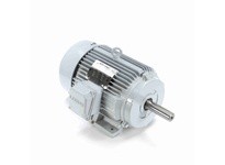 Leeson 171843.60 25 HP Grain Stirring Motor, 3 Phase | YarinInd