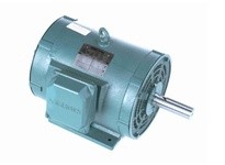 171862.60 15HP 1800RPM 254TZ ODP 208-230/460V 3PH 60HZ CONTINUOUS 40C 1.15SF RIGID