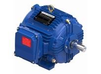 Marathon E601A 182TTTCD6501 3 3600 TENV 182T 3/60/460 | YarinInd