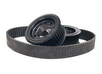 TBWOODS 18955M25 1895-5M-25 Sychronous Belt