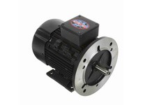 Leeson 192026.00 Replaced by 080T11FH5506 (R385) - 1/3HP | YarinInd