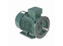 Leeson 193347.60 10HP-7.5kW..1180RPM.DF160MD.TEFC.230/460V.3PH.60HZ.CONT.40C.1.15SF.B3/B5..............10HP-7.5kW..1180RPM.DF160