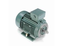 Leeson 193367.60 7.50 HP General Purpose, 3 Phase, 3600 RPM | YarinInd
