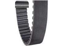 Timken Belts (Carlisle) 1960-14MPT-85 Panther Plus 14Mm Cut Belt | High-Performance Industrial Belt