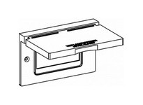 Orbit 1C-GH-BR 1-G W/P DEVICE COVER 1 GFI HORIZ. - BRNZ