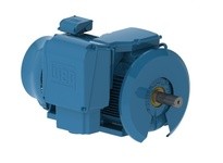 WEG 20012ET3XL449-W22MV W22 MV Stk 200HP 6P 2.3/4.16kV MV STOCK