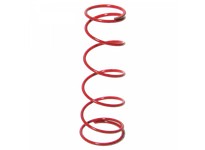 Lubesite 202-9 1oz SERIES COIL SPRING HEAVY(RED)