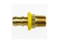 2113-12-12-SS PL-MP Strt