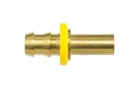 2117-04-05-B PL-STEM Strt | YarinInd