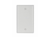 Cooper Eaton 2129W-BOX Wallplate 1G Blank Thermoset | Durable & Stylish