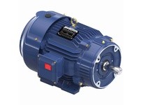 Marathon Y595A 213THFCD8028 7.5 1800 TEFC 213TC 3/60/230/460