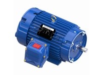 Marathon C374 213TTGCD6505 7.5 3600 EPFC 213TC 3/60/230/460 | YarinInd