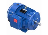 Marathon W539B-P 215THFCD9037 10 1800 TEFC 215T 3/ | YarinInd