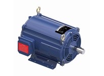 Marathon Y490A 215TTDBD17206 10 1800/900 DP 215T 3/60/200-230