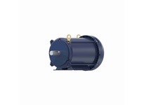 Marathon GT1518 215TTFBD6002 10 3600 TEFC 215T 3/60/230/460 | High-Performance Motor