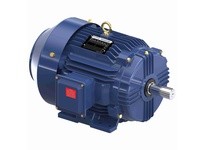 Marathon GT10114 215TTFCD16001 15 3600 TEFC 215T 3 | YarinInd